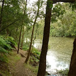 Berowra Creek (329114)