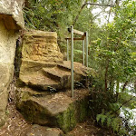 Steps south of Berowra Creek campsite (329135)