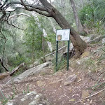 Sign on track beside Berowra Creek (330380)