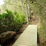 Section of boardwalk east of Berowra Creek Lookout (330422)