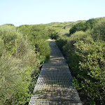 When the heath is particularly fragile walkways have been installed (33080)
