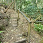 Steps north of Sams Creek (331430)