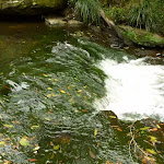 Cascade on Waitara Creek (332969)