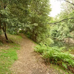 Walking alongside Waitara Creek (333002)