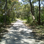 The squeezway near Lilyvale track (33305)