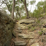 Steep track on western side of Waitara Creek (333146)