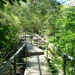 Bridge and boardwalk near the junction of Flaggy and Tin Hate Creeks (338158)