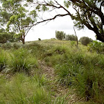 Grass lands at the lower end of Stockyard Spur (34229)
