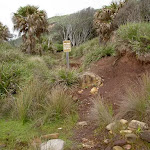 path up from beach (34301)