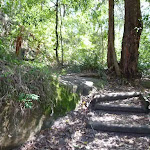 Timber steps near Boronia Ave (343924)