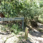 Int. Scenic Trail and Great North Walk (346090)