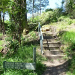 Steps below Fiddens Wharf Oval (347257)
