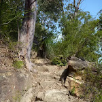 Steep steps east of Joe Crafts Creek (356144)