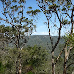 View From Awaba Forest (358517)