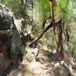 Trail in the Awaba range (358529)