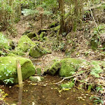 Side creek flowing into Wallis Creek (359972)