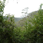 View From Hammons Road (360134)