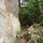 Walking along the base of the cliff on the Great North Walk (360167)