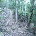 Hairpin bends east of Wollombi Brook (365141)