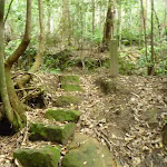 Stone steps near the old trail west of Stringy Bark Point (368896)