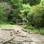 Campsite near bridge at Stringy Bark Point (368977)