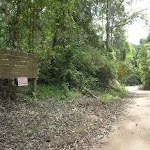 Ourimbah Valley Trackhead sign on Ourimbah Creek Rd (369667)