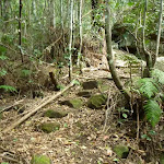Rocky track winding through the Palm Grove NR (369796)