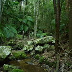 Crossing a small creek in Palm Grove Nature Reserve (370225)