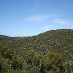 The ridges of Heathcote National Park (37170)