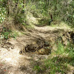 Washed away section of old trail east of the Lower Mooney Mooney Dam (372574)