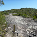 GNW arrow posts showing the way on the rock platforms in Brisbane Waters NP (375136)