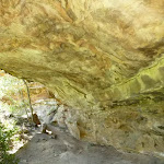 Northern Lyrebird Gully cave (377012)