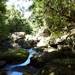 small cascades on Calna Creek  (377474)