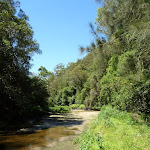 Wide sandy section of Calna Creek (377501)
