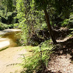 Walking beside Calna Creek (377531)