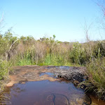 Creek near Van Dahls campsite (378905)