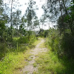 Track on Galgabba Point walk (387161)