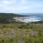 Views to the north from Pinney's Headland in the Wallarah Pennisula (388331)