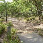 Track and timber sign in Green Point Reserve on Lake Macquarie (389573)