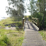 Bridge in Green Point Reserve (389705)