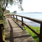 Boardwalk with views of Lake Macquarie (389777)
