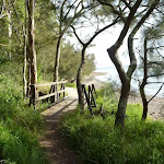 Timber bridge by Lake Macquarie in Green Point Reserve (389861)
