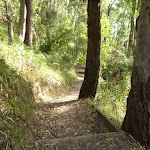 Bush steps near Rocky-high view point (389933)
