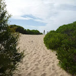 Sandy track near the Redhead Beach (391070)