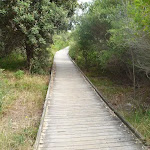 Timbered boardwalk on the Owens Walkway near Webb Park (391232)
