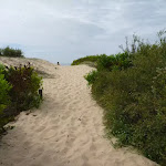 Sandy track going up towards Redhead beach (391331)