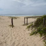 Timber posts with the Redhead Beach in the background (391340)