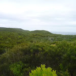 Views on the Awabakal Coastal Walk in the Awabakal Nature Reserve (392237)