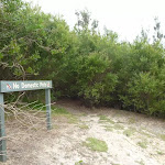 Sign and track into the Awabakal Nature Reserve (392285)