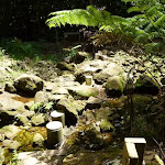 Stepping stones over the upper Lane Cove River (394727)